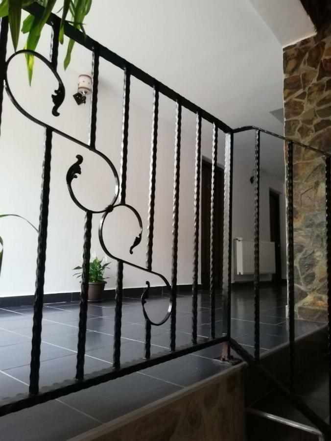 Hotel Casa Larisa Chiscau Zewnętrze zdjęcie